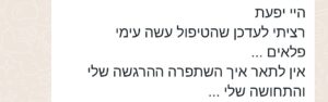 המלצה 4