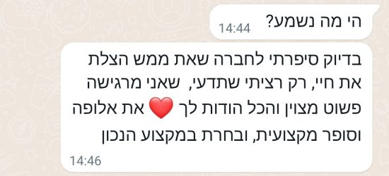 המלצה 2